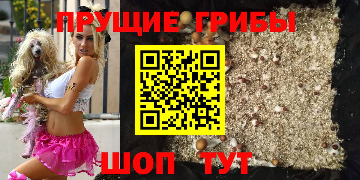 Галлюциногенные грибы Magic Shrooms  Вход с VPN  Галлюциногенные грибы Cubensis  Гагарин 